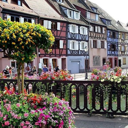 Colmar,Appart Chaleureux 2 Pas Centre Avec Jardin Luaran gambar