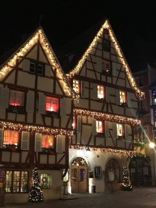 Colmar,Appart Chaleureux 2 Pas Centre Avec Jardin Luaran gambar