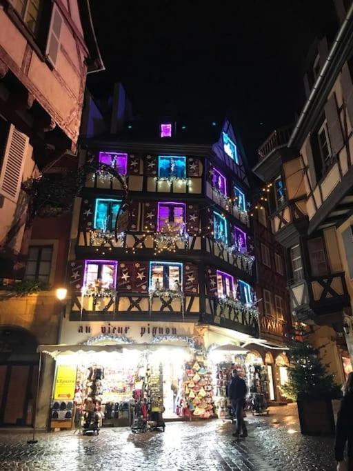 Colmar,Appart Chaleureux 2 Pas Centre Avec Jardin Luaran gambar