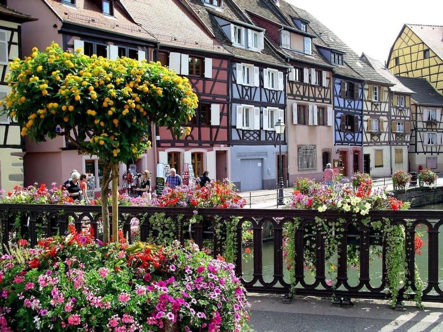Colmar,Appart Chaleureux 2 Pas Centre Avec Jardin Luaran gambar